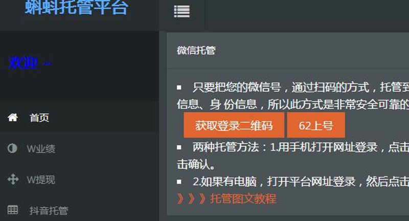 SEO站群：让网站在浩瀚信息海洋中乘风破浪